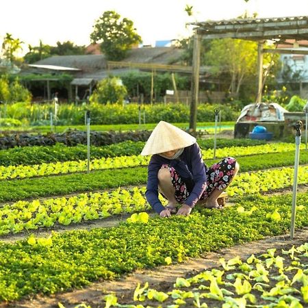 Ferienwohnung Hoi An Cabbage Garden Exterior foto